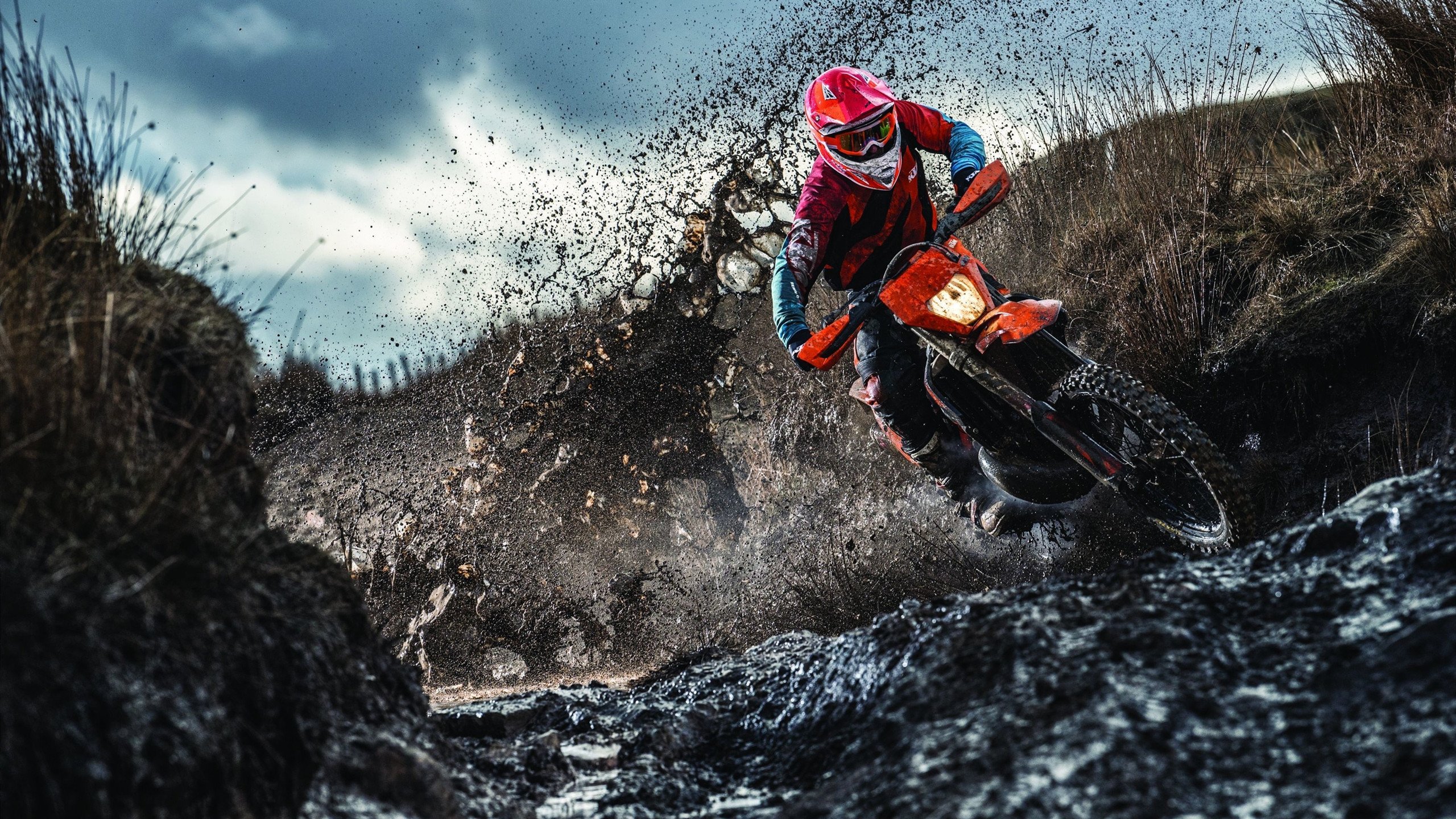 王牌队篮板球争夺激烈，ace park王牌篮球